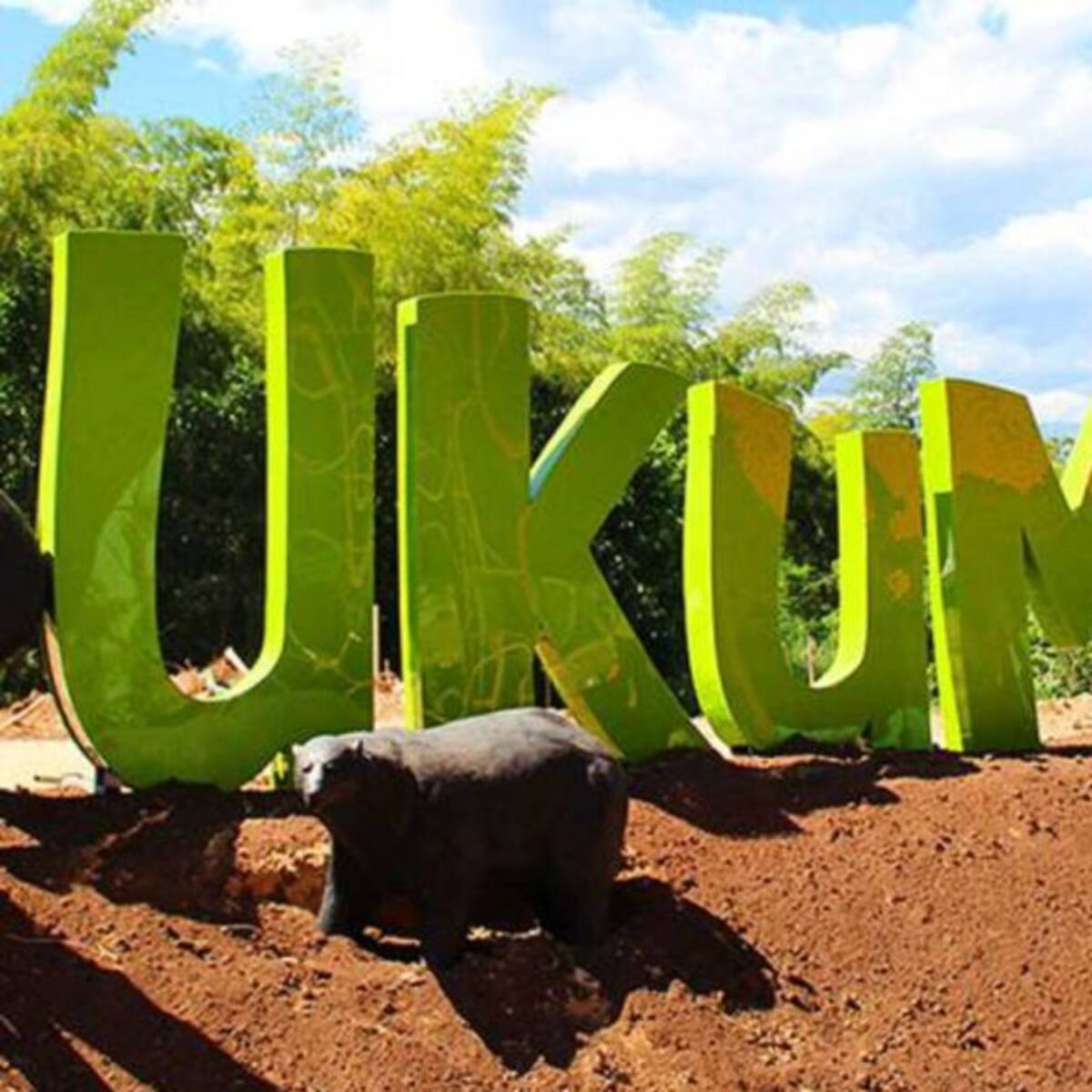 Con venta de tapabocas de animales, el Bioparque Ukumarí busca recursos