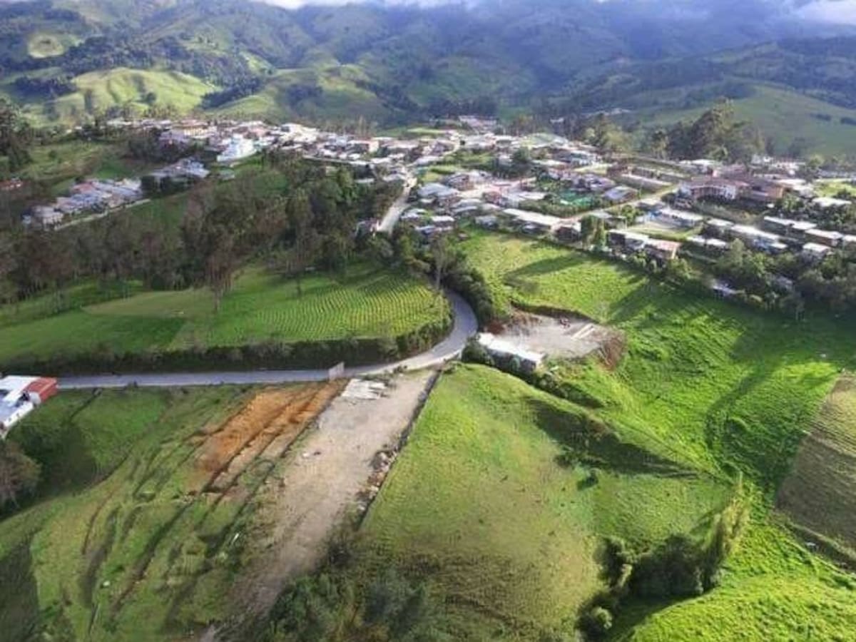 Tres muertos y una persona herida dejan ataques armados contra parejas en el Tolima: esto se sabe