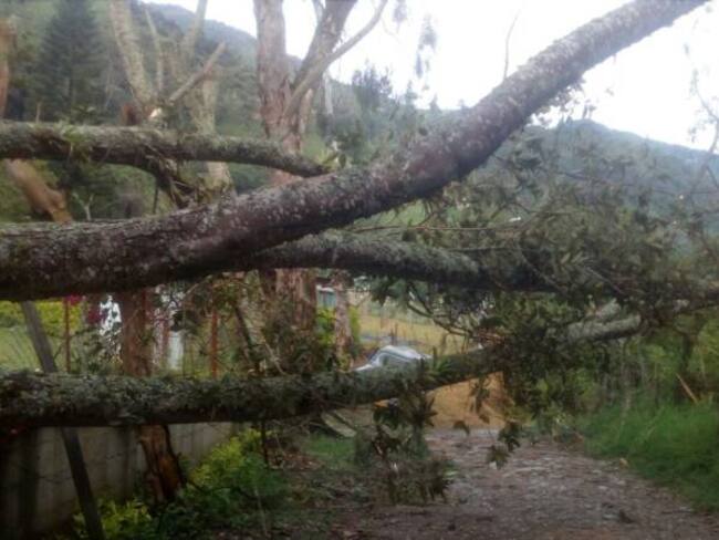 Lluvias provocan emergencias en Ibagué