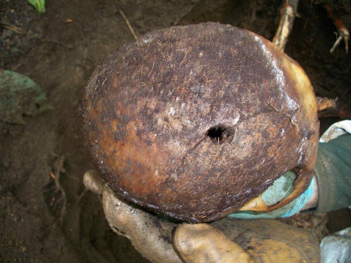 Deben exponerse a campos minados, la amenaza constante de ataques de la guerrilla o grupos criminales.