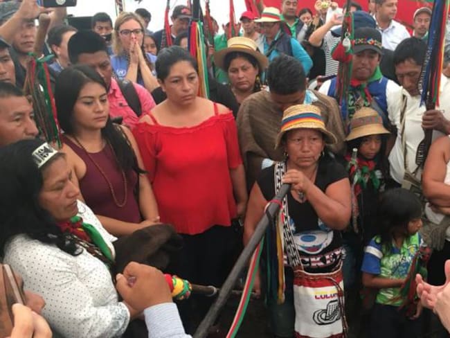 Gobierno pide perdón público por asesinato de indígena en Cauca