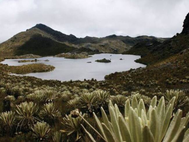 Erika Nadajovsky, bióloga de la Carder