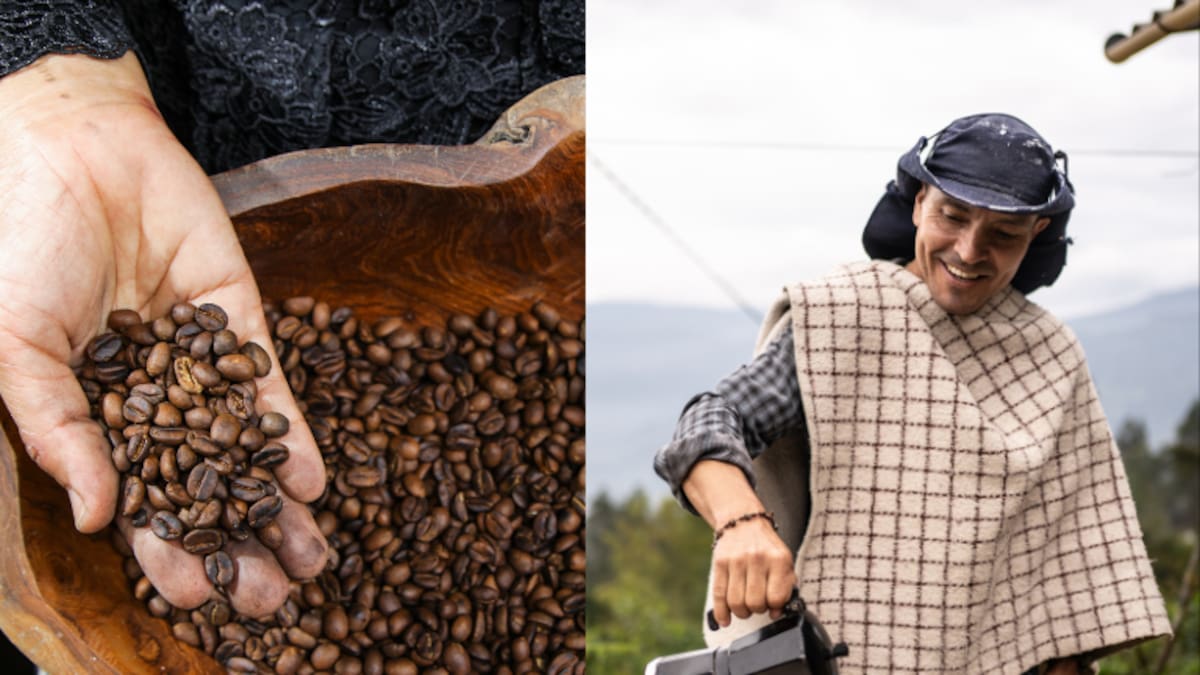Producción de café en los últimos 12 meses cerca de 15 millones de sacos