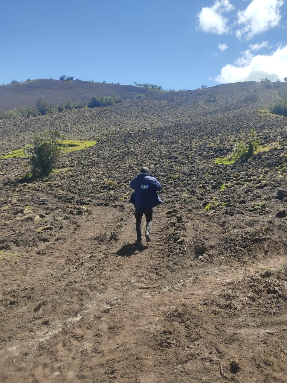Así luce el predio en el que se hizo la tala el 10 de diciembre. Foto | CAR Cundinamarca
