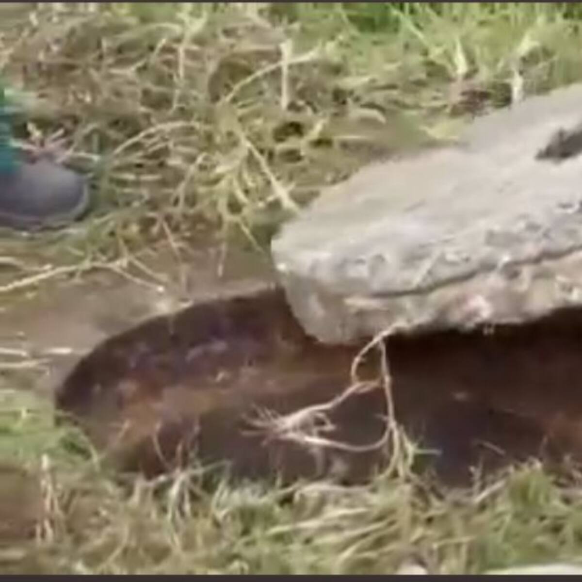 Después de tragedia, Acueducto de Bogotá tapó alcantarilla en donde murió niño de 5 años