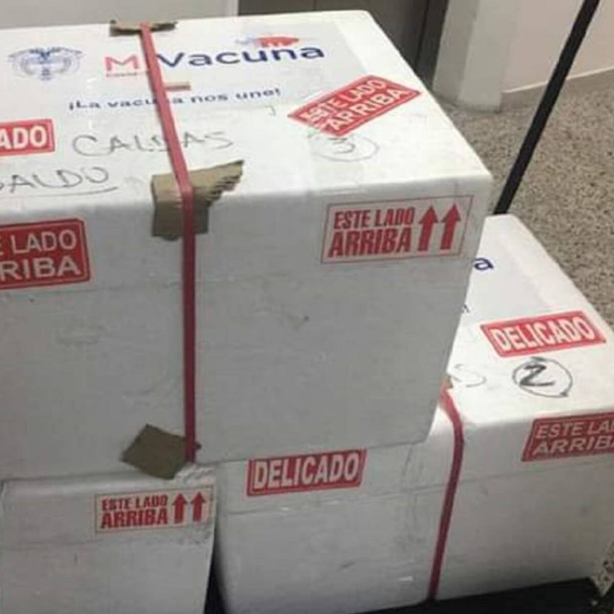 Llegan a Caldas casi 13.000 vacunas de Pfizer