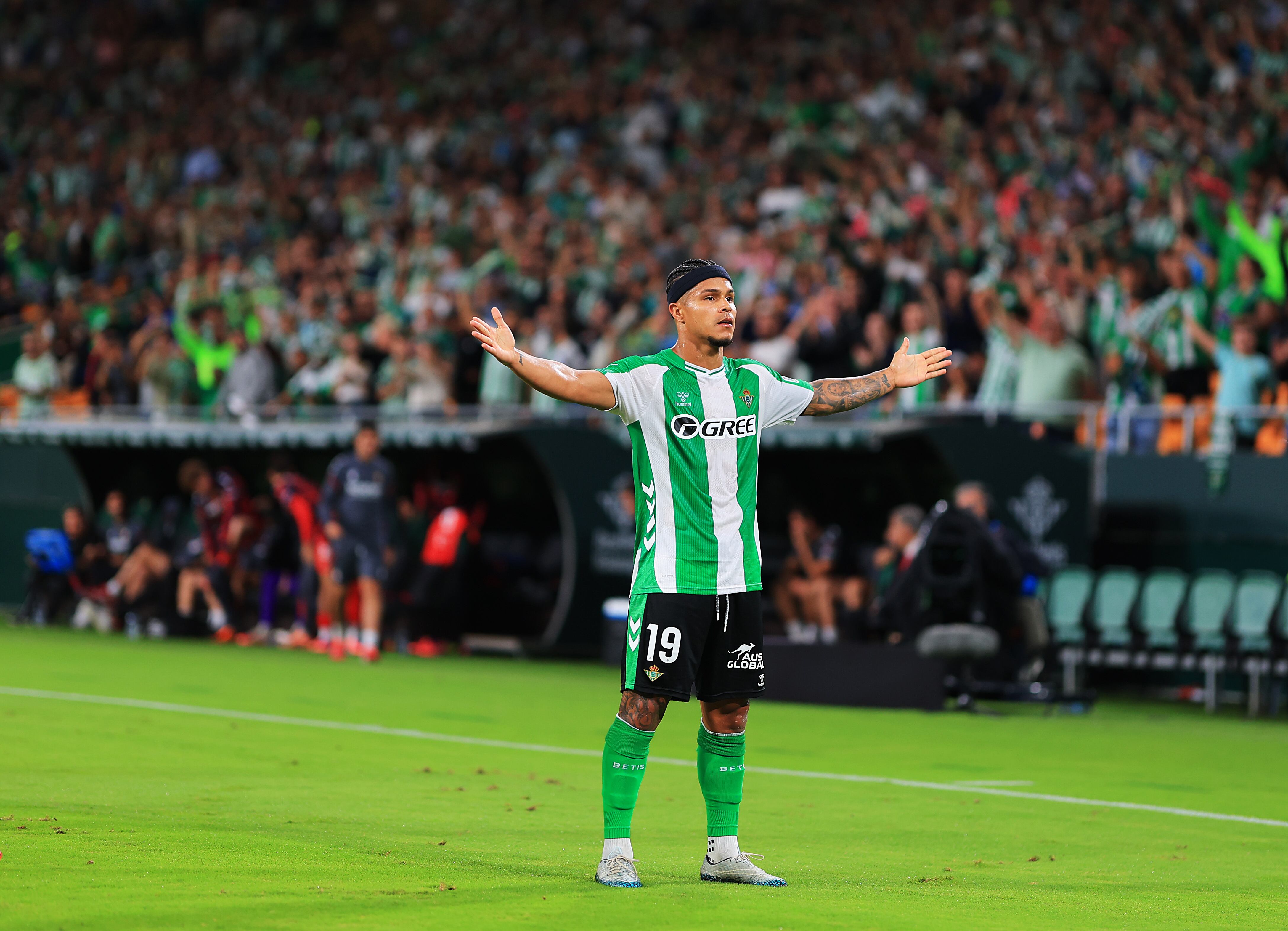 Betis vence al Osasuna con espectacular asistencia y golazo de Juan Camilo Hernández: véalo acá. (Photo by Fran Santiago/Getty Images)