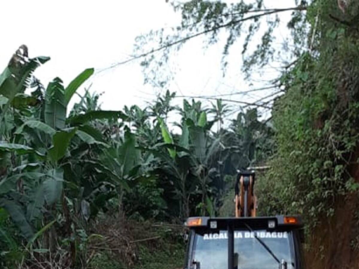 Sigue la atención de emergencias por fuertes lluvias en Ibagué