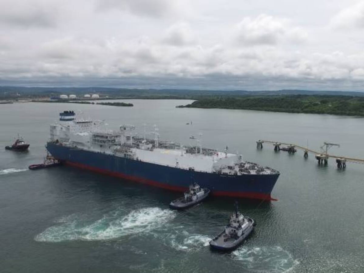 "El Caribe no debe asumir sobrecostos por restricciones en el gas": Dávila