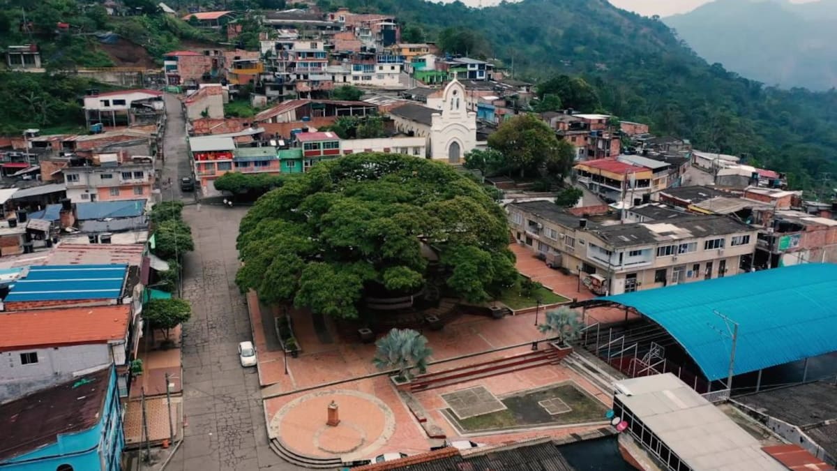 Rector de colegio de Landázuri denuncia deserción escolar