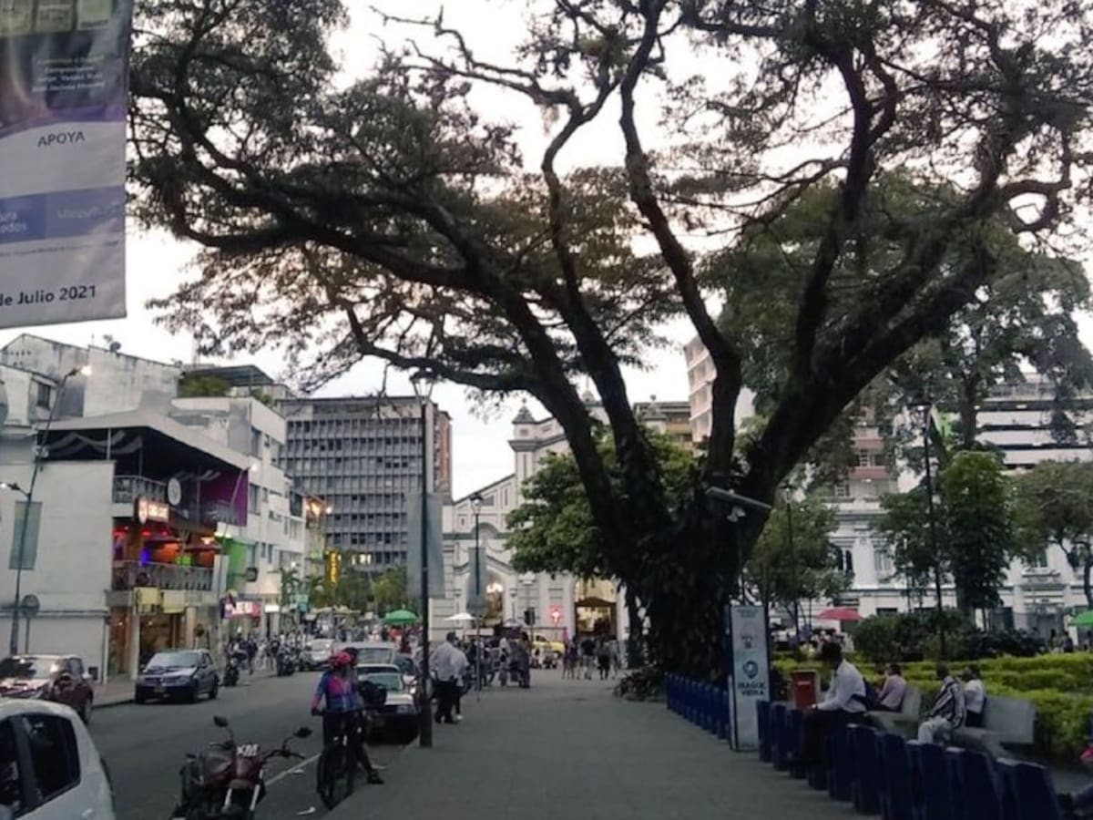 En Ibagué se mantiene medida de pico y placa para particulares