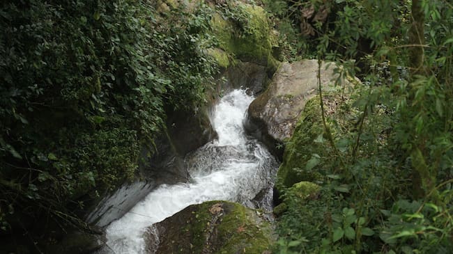 Foto: Alcaldía de Medellín