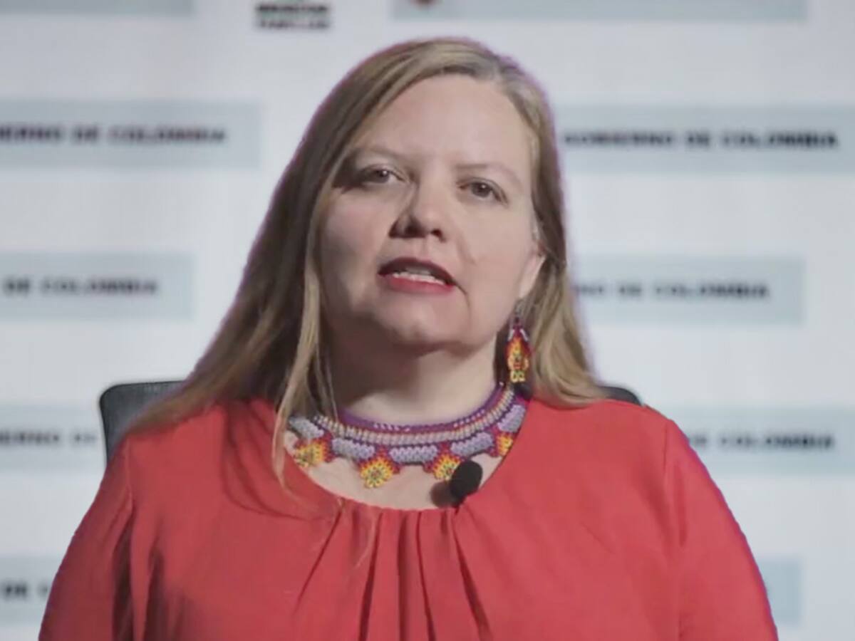 Ya quisiéramos saber dónde están los niños: Astrid Cáceres, directora ICBF