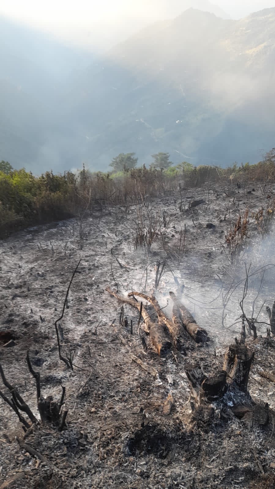 Foto: Cuerpo Voluntario de Bomberos de Aguadas, Caldas.