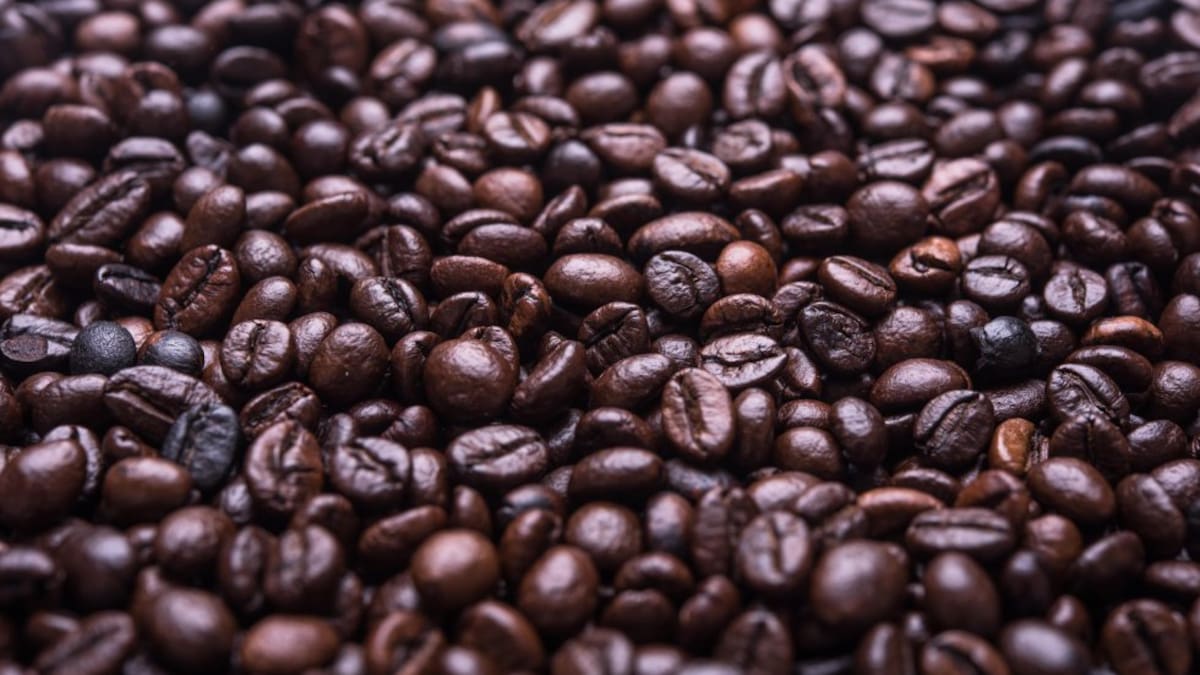 Conozca el café mejor cotizado de Colombia. Es de Norte de Santander