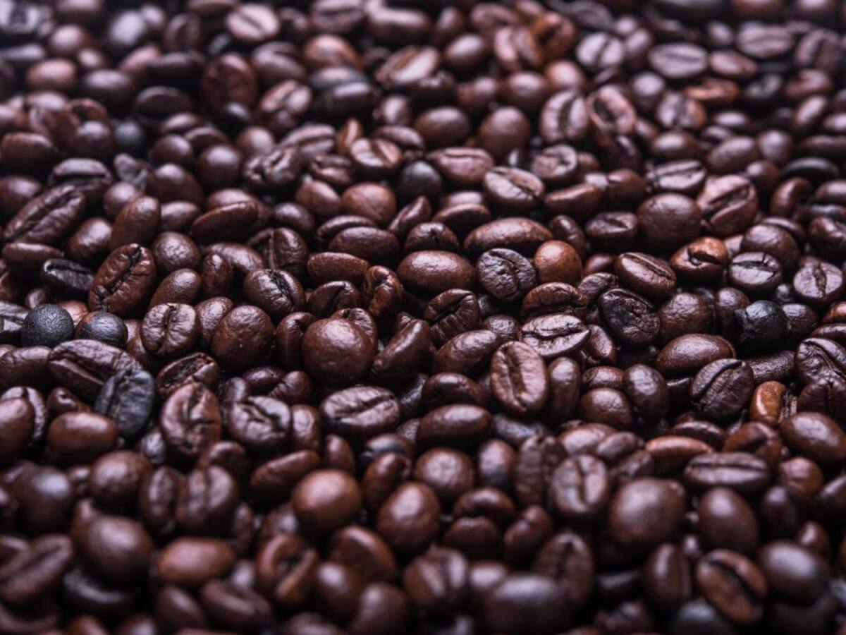 El café mejor cotizado de Colombia lo produce un campesino de Ragonvalia