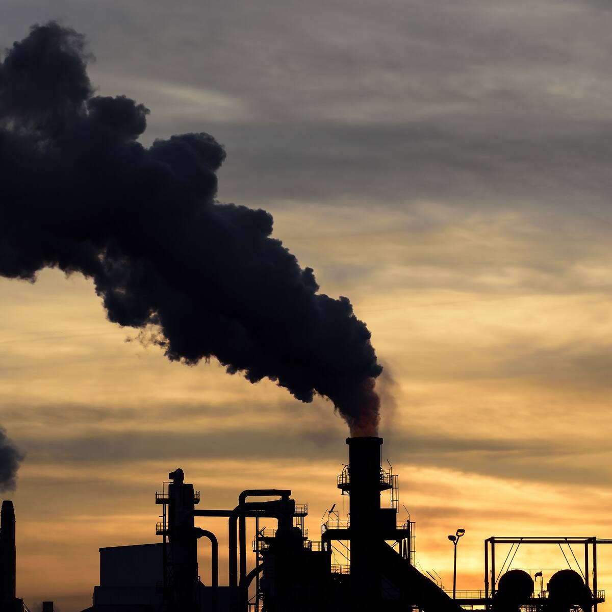 Países ricos consumen seis veces más recursos naturales que naciones en desarrollo