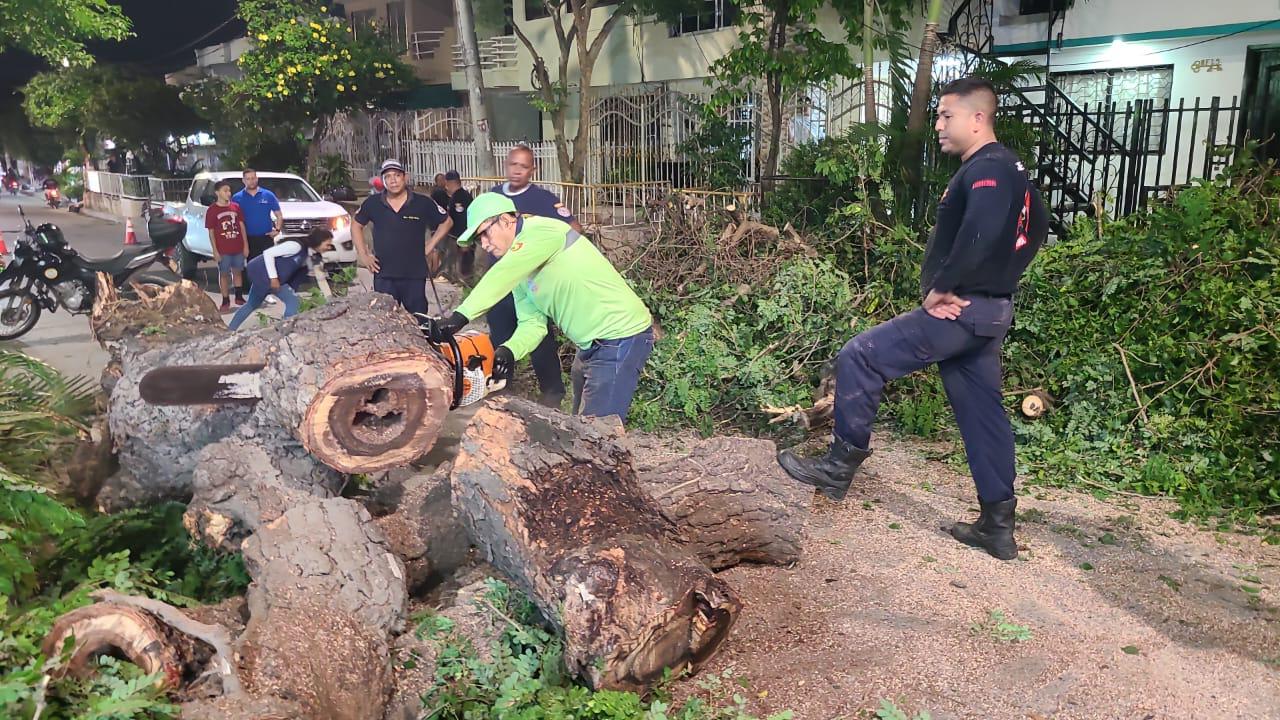 Alcaldía de Cartagena