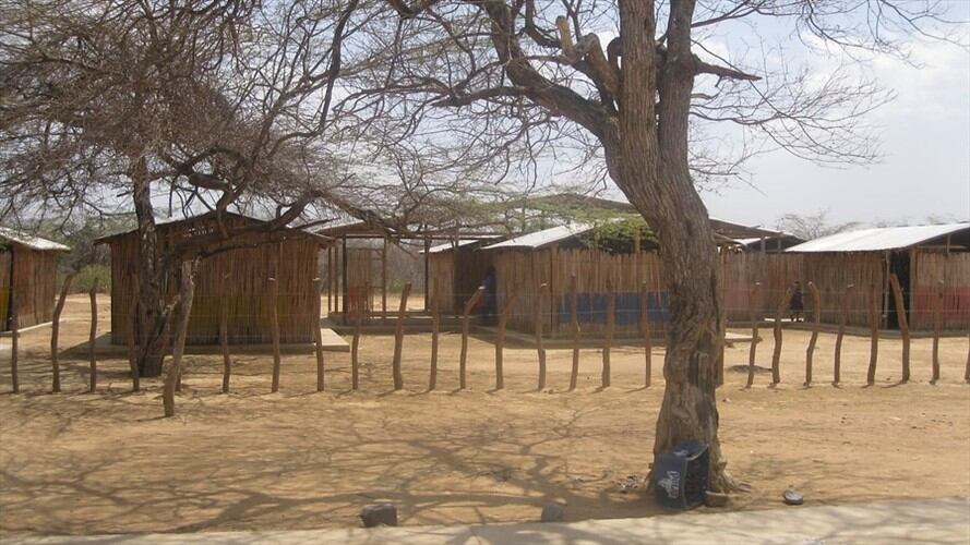Resguardo indígena Wayúu en La Guajira. Foto: Colprensa