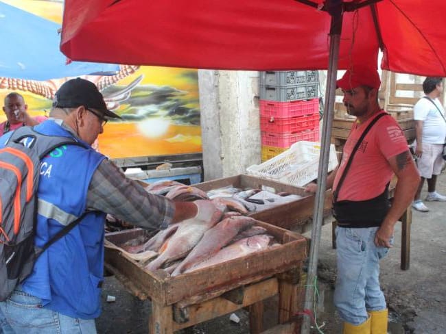 En Cartagena hacen inspección a pescados y alimentos de Semana Santa