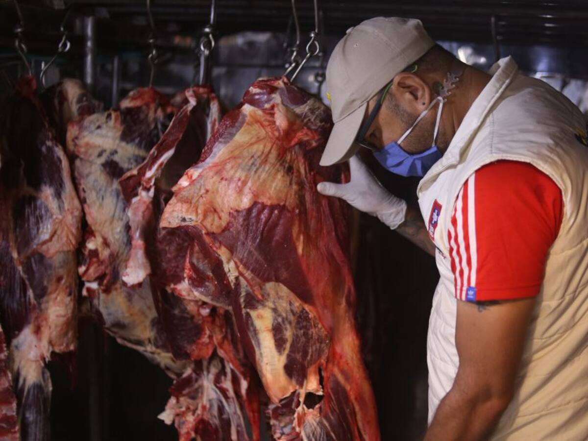 Cierran tres carnicerías en Pereira por incumplimiento de normas sanitarias