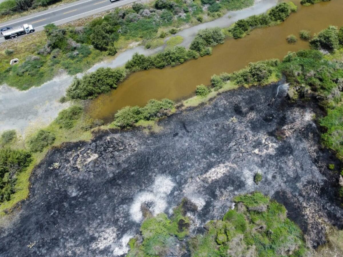 Autoridades del Magdalena apoyan control de incendios en el Parque Isla de Salamanca