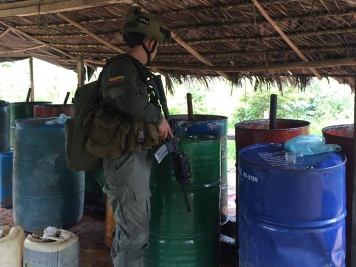 Destruyen 40 laboratorios de coca en el sur de Bolívar