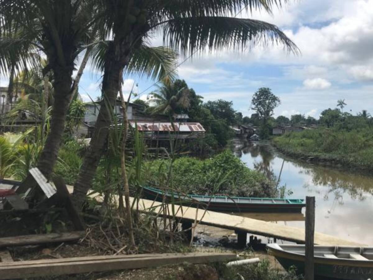 La radiografía del ‘Andén del Pacífico’: El Naya y López de Micay