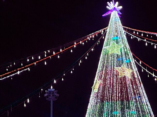 Alcalde Galán encendió el árbol de Navidad en el Parque El Tunal: así se vivió // Caracol Radio