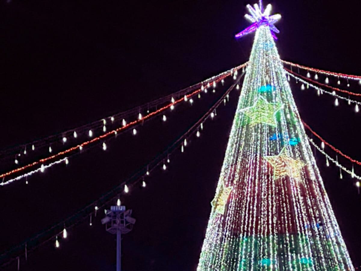 Alcalde Galán encendió el árbol de Navidad en el Parque El Tunal: así se vivió