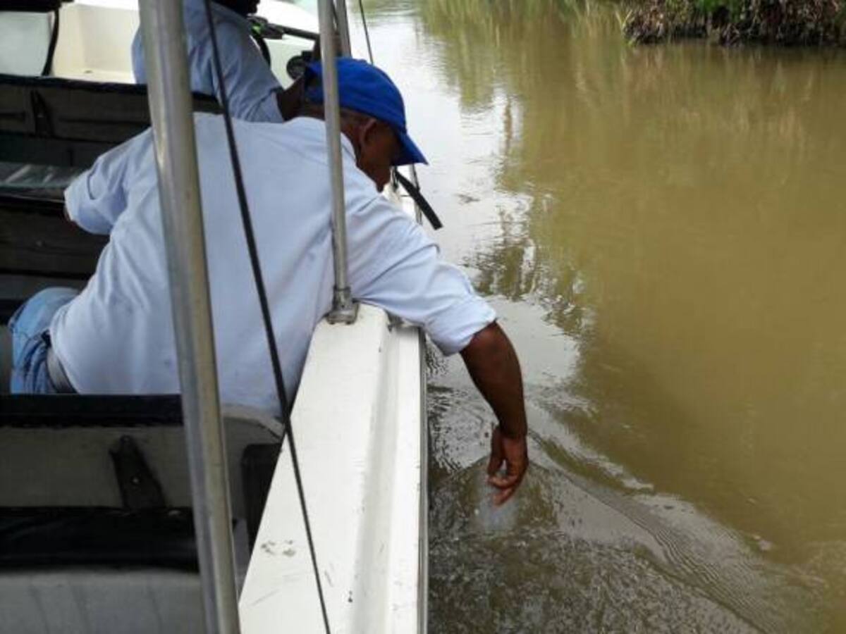 CVC investiga origen de descargas que bajaron oxígeno en el Río Cauca