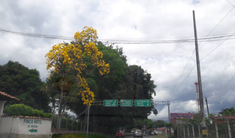 Facebook caracol radio Armenia 1150am línea whatsapp 3155681277 