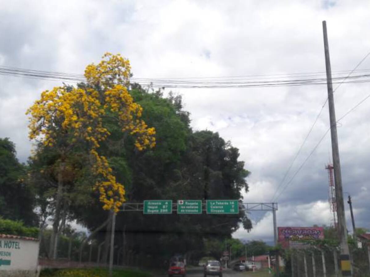 Las noticias más importantes de Armenia y Quindío, martes 24 de julio