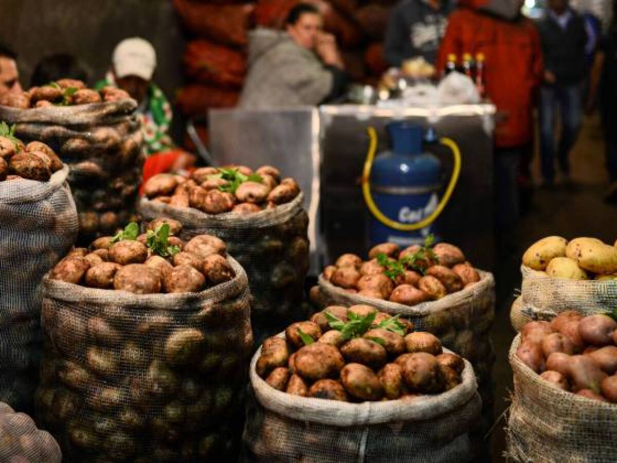 Viceministro de agricultura desmiente importaciones de papa fresca a cero arancel