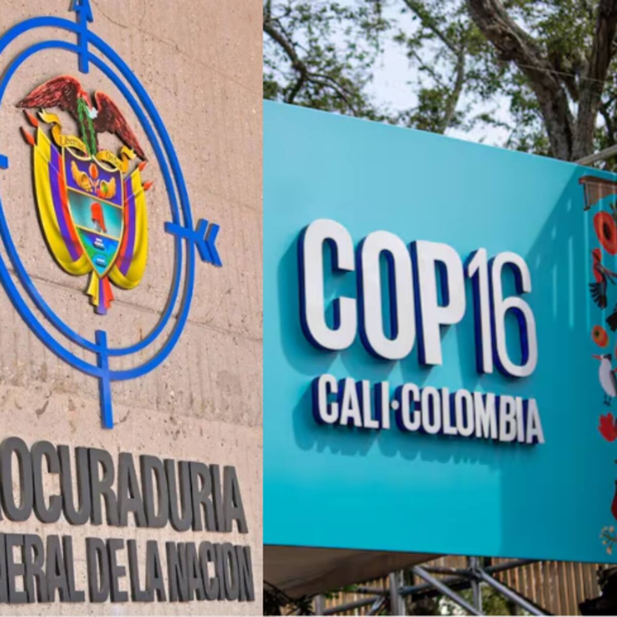 Comisión Preventiva Especial de la Procuraduría vigilará el pleno desarrollo de la COP16