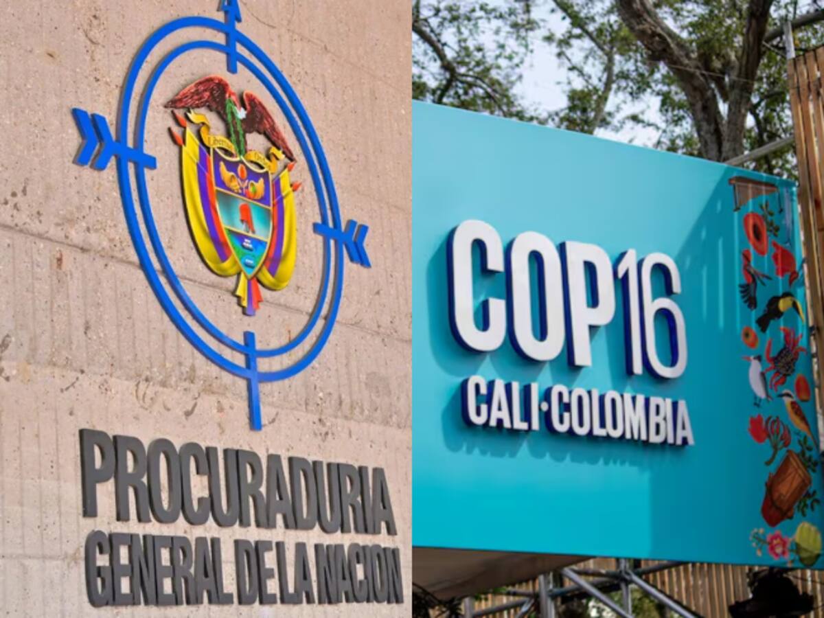 Comisión Preventiva Especial de la Procuraduría vigilará el pleno desarrollo de la COP16