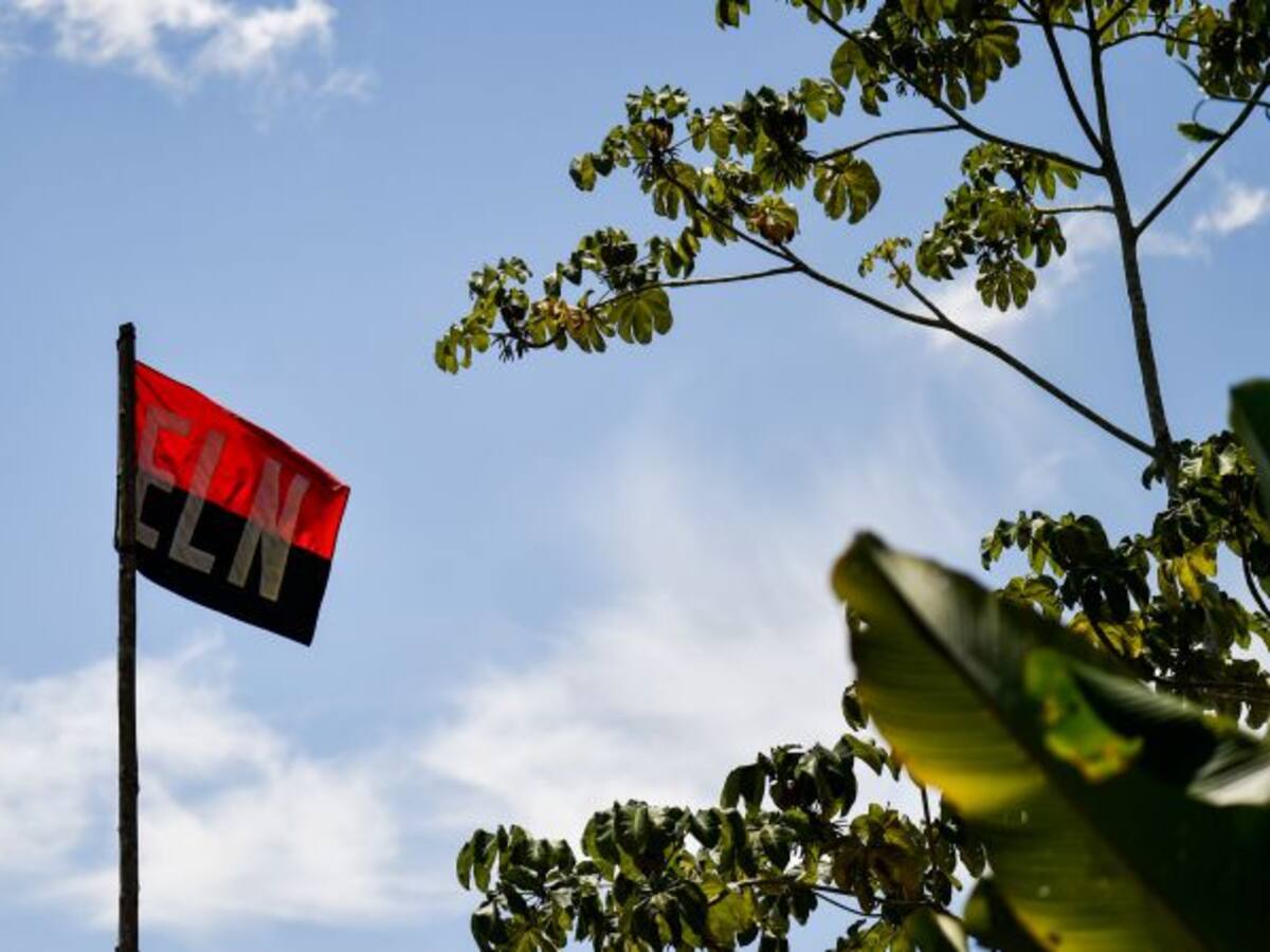 ELN tiene presencia en 12 estados de Venezuela, según InSight Crime