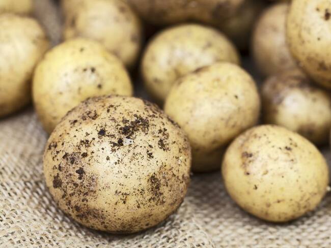 Buena oferta estabiliza los precios de la papa