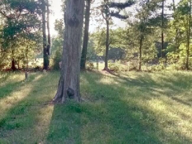 ¿Google Maps capta fantasmas?