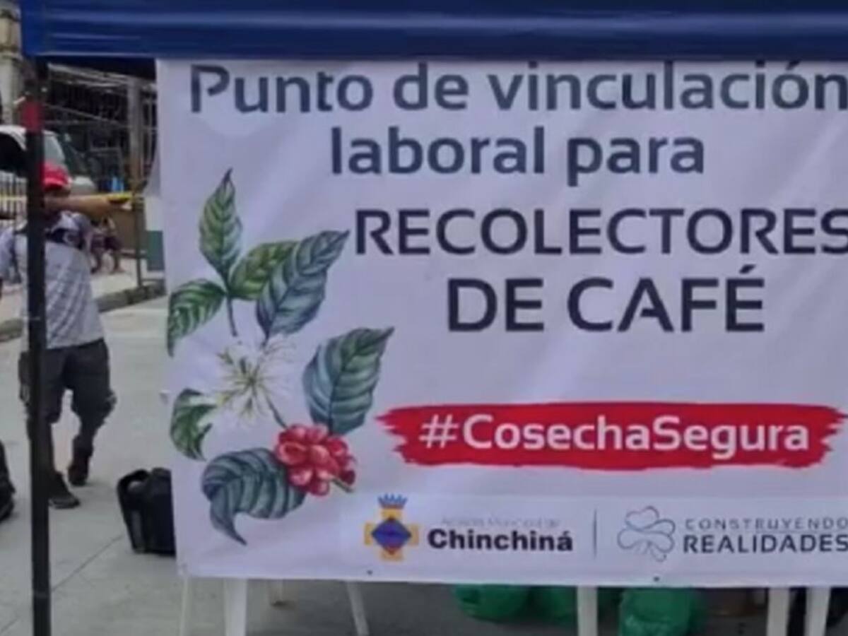 Chinchiná avanza con el plan piloto de vinculación laboral de recolectores