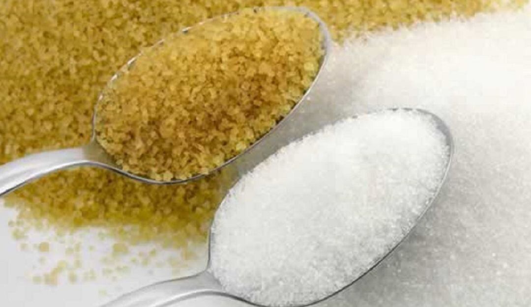 El sector azucarero genera más de 286 mil empleos de calidad en el suroccidente colombiano.