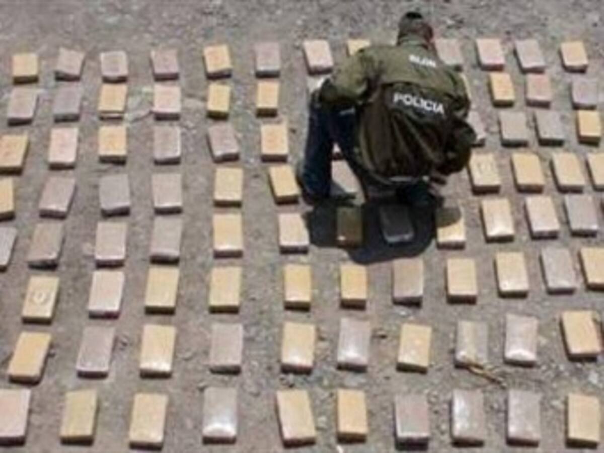 Más de 60 mil kilos de drogas alucinógenas fueron incautados este año en siete ciudades