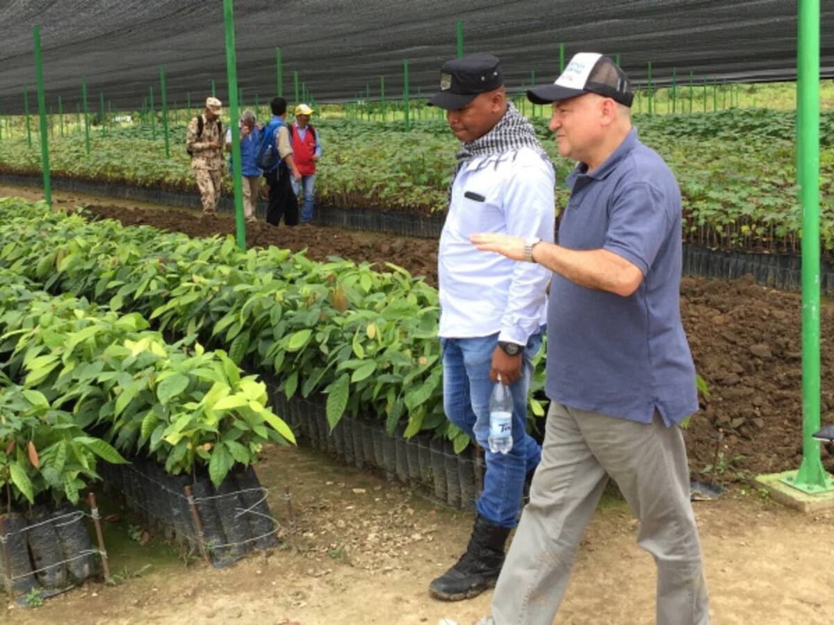 La paz una lucha a la que se aferran excombatientes en Charras, Guaviare