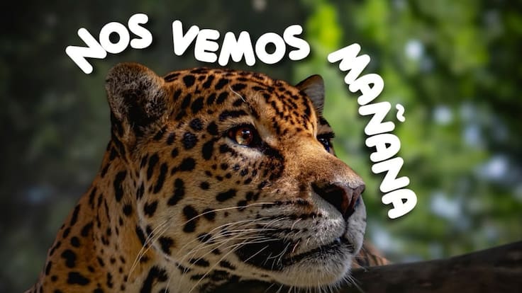 Bioparque Ukumarí advierte crisis financiera para atender a sus animales, ¿Cómo aportar?