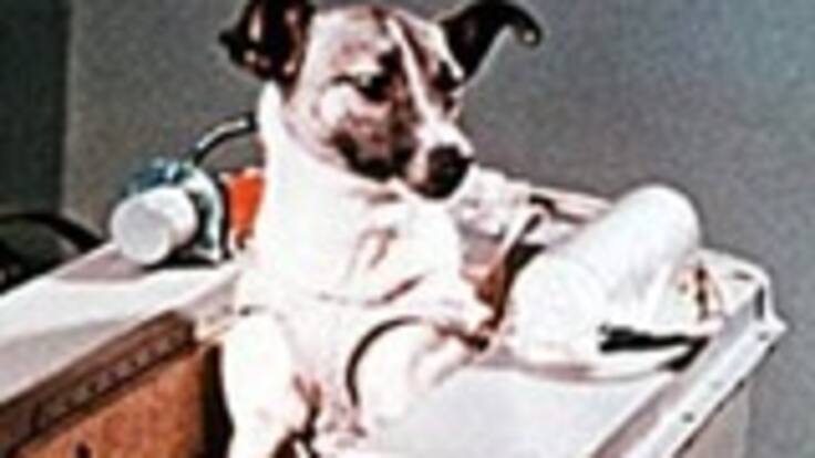 La perra Laika se convierte en el primer ser vivo en ser lanzado al espacio