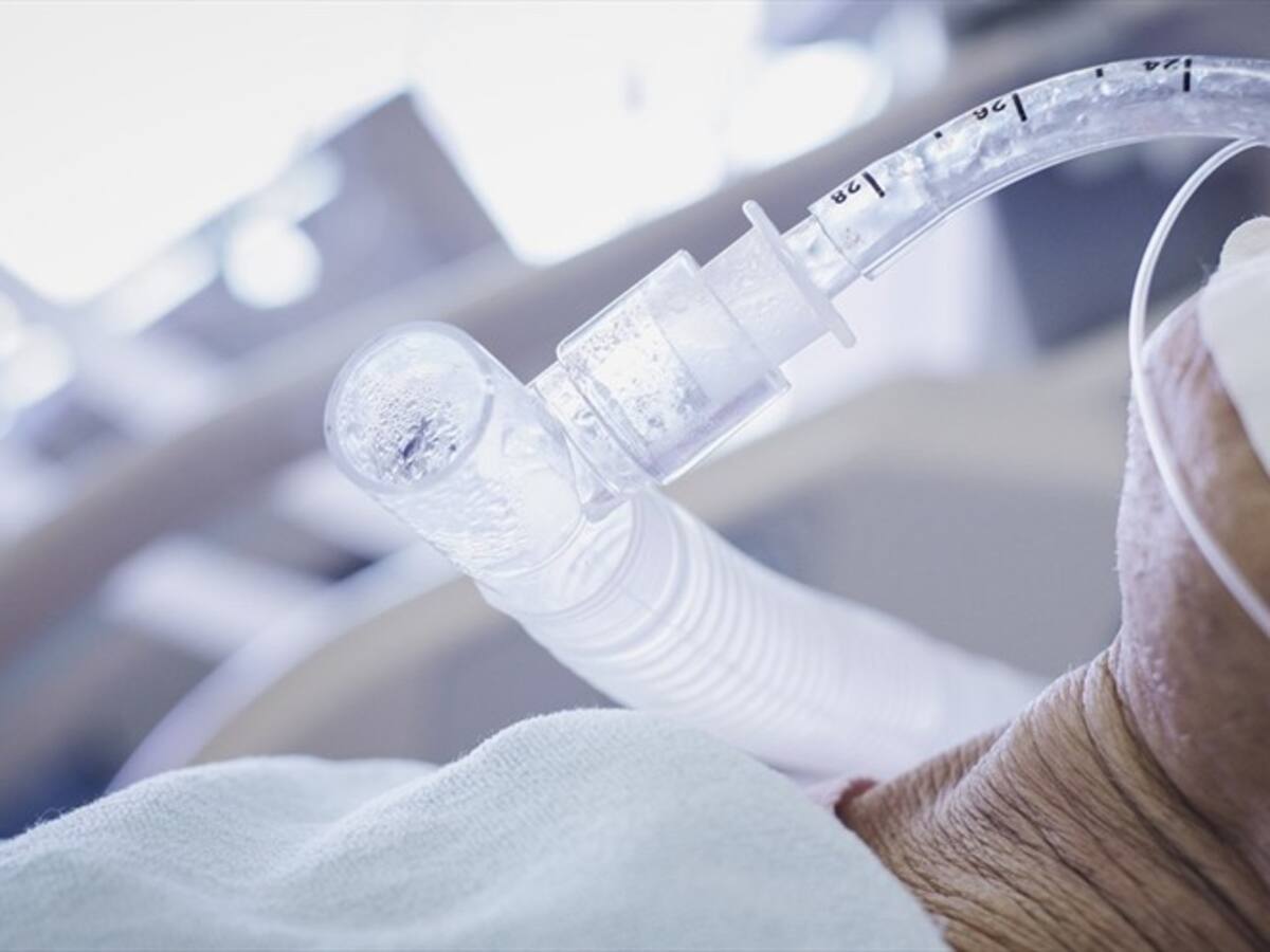 ¿Ventiladores a 60.000 dólares?