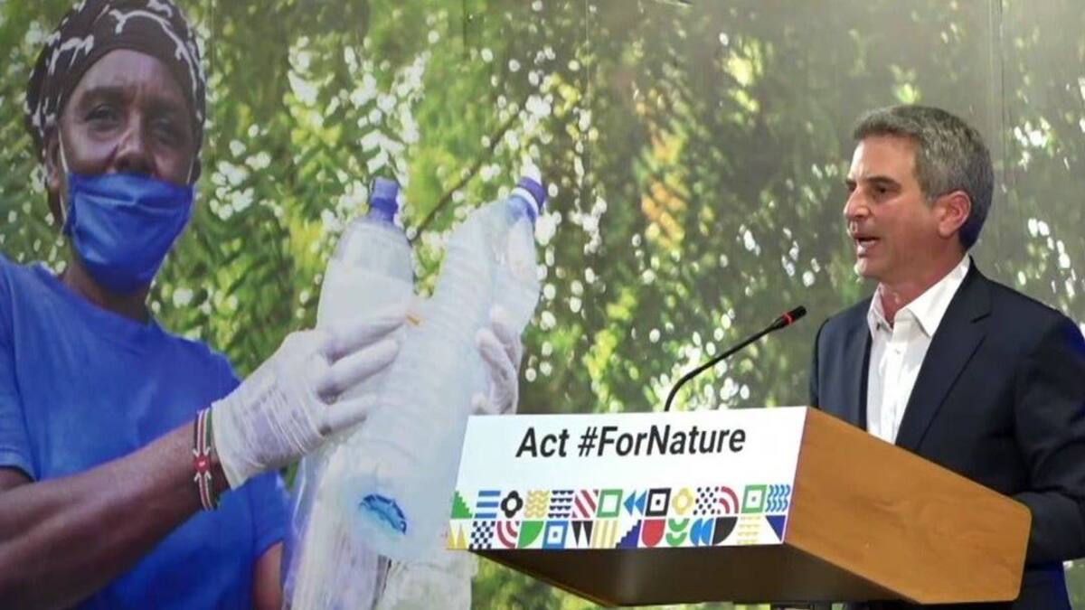 Colombia sembrará un millón de corales para restauración de ecosistemas