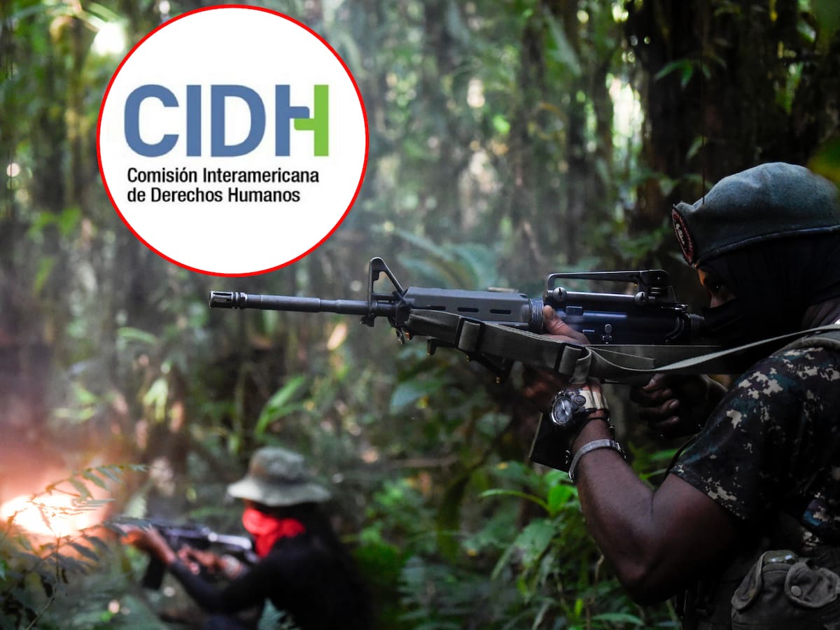CIDH: en Colombia se consolidó la cultura de la violencia por el conflicto