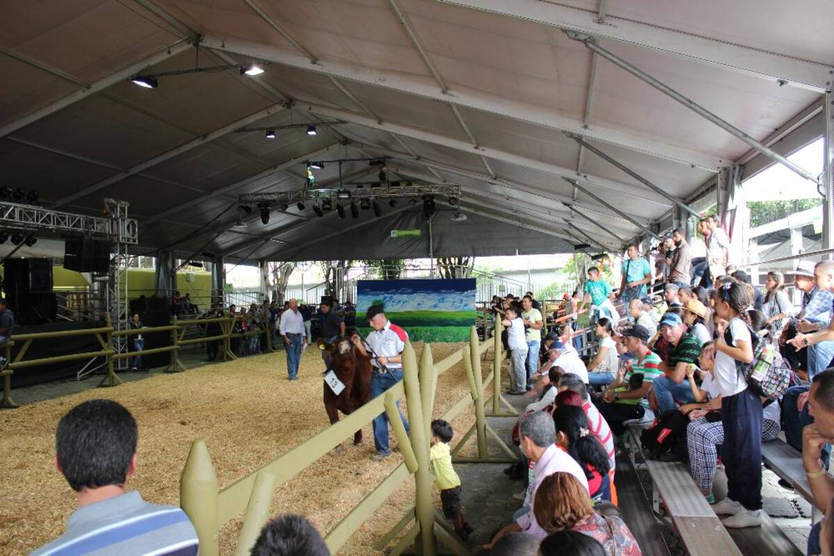 Expocolanta: la feria de la ganadería, porcicultura y la leche en Plaza Mayor.