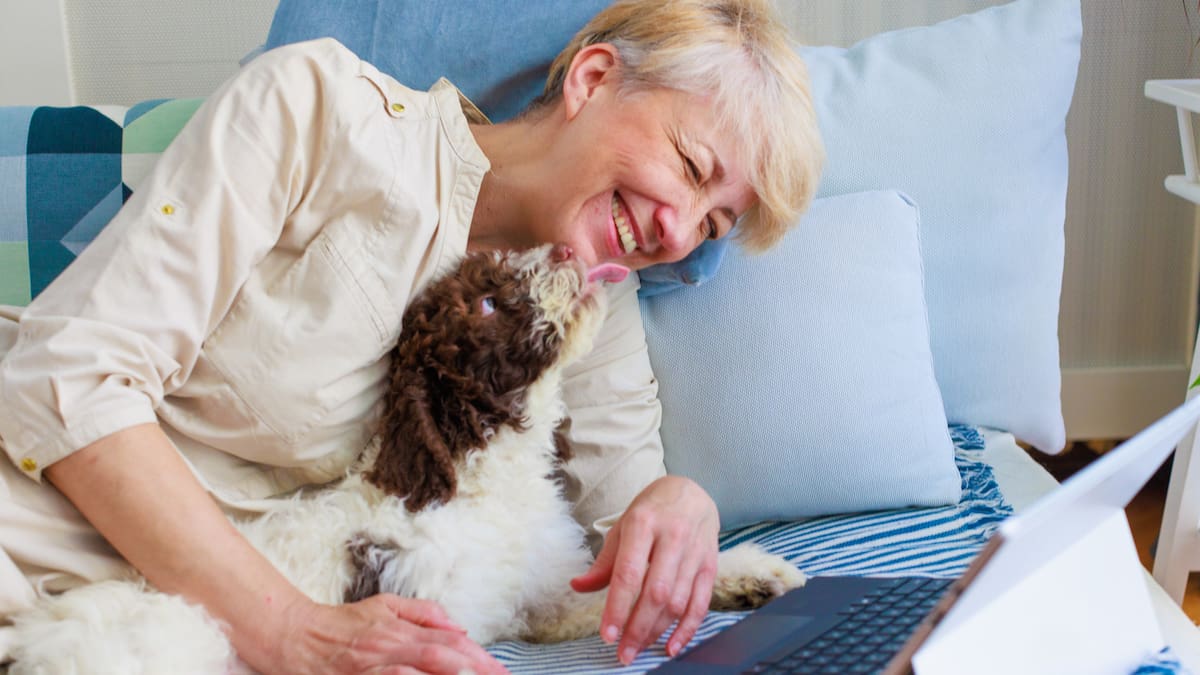 ¿Qué perros dan menos alergia? 10 razas que recomiendan los expertos